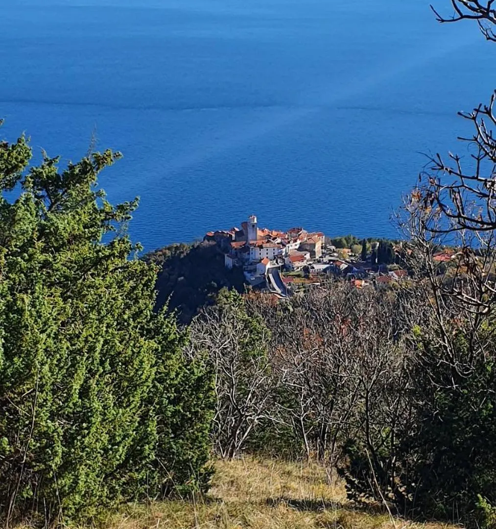 Holiday home Casa Andrea Villa Moscenicka Draga
