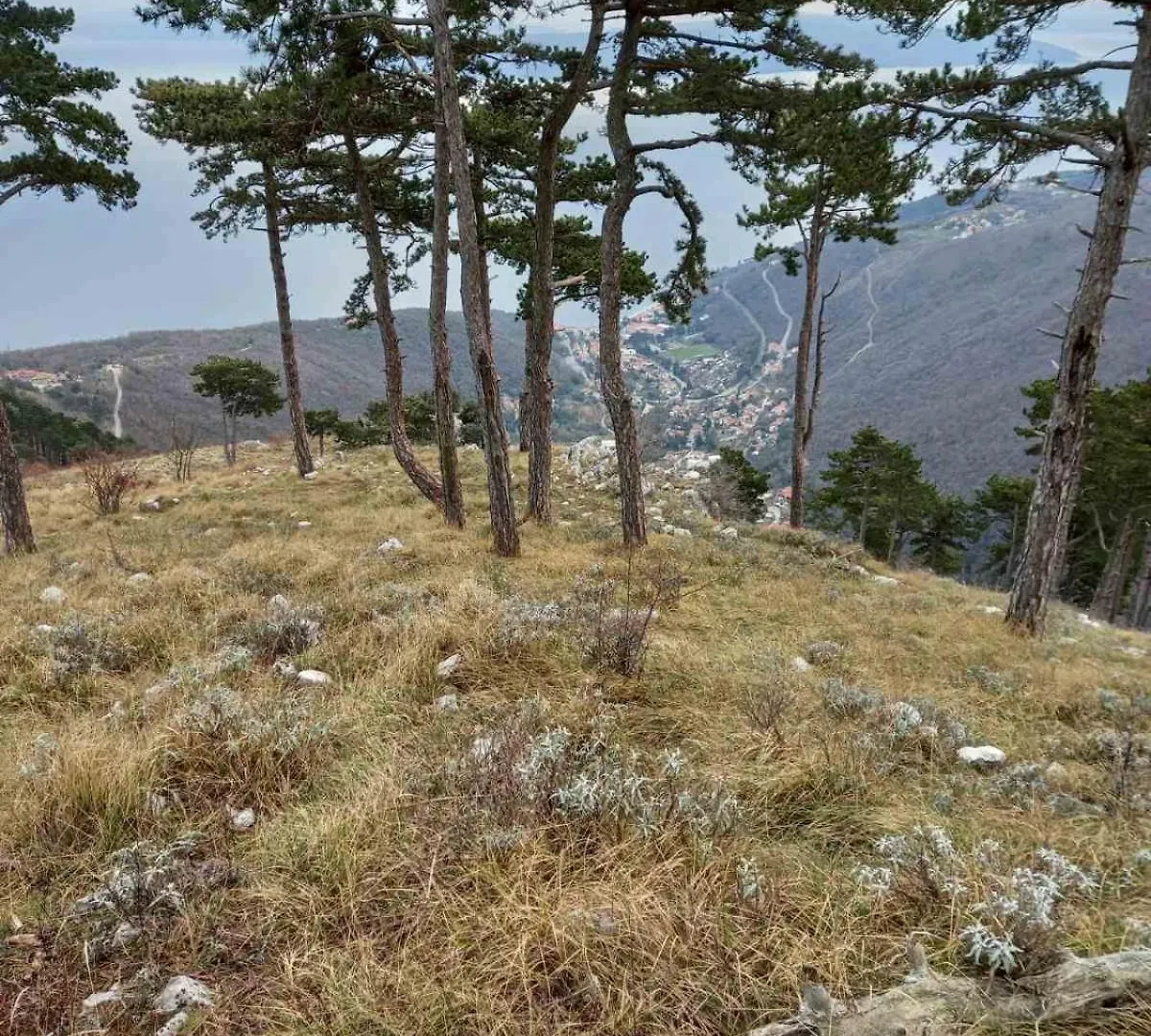 Casa Andrea Villa Mošćenička Draga Vakantiehuis